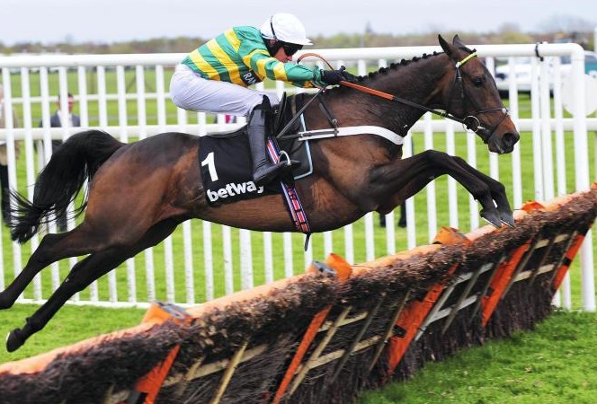 Inghilterra. Buveur D’Air confermato a Kempton Park nel giorno di Santo Stefano nella Christmas Hurdle. Might Bite andrà alla King George VI, gara alla quale prenderanno parte anche Native River e Bristol de Mai