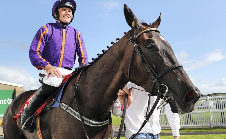 Irlanda. Easy Game e Ruby Walsh di forza e con classe nella Navan Novice Hurdle di secondo grado. Per Willie Mullins si tratta della settima vittoria nelle ultime dieci edizioni