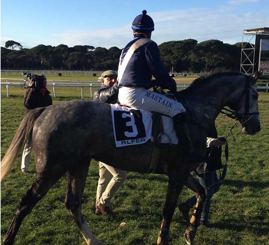 Italia. La prima a San Rossore consacra Il Superstite, sugli ostacoli alti l’allievo di Vana batte l’ottimo novizio Vibes e il polacco King Artur. Noisemaker e Alex Pollioni a bersaglio sulle siepi; splendida affermazione del newcomer Pazzesco fra i giovanissimi