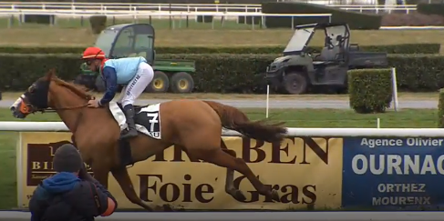 Francia. Pont Long, Forthing in splendido isolamento nel Prix Bernard de Dufau, gara di preparazione al prossimo Grand Prix de Pau. Monsamou secondo avanti a Shakapon, cade Milord Thomas