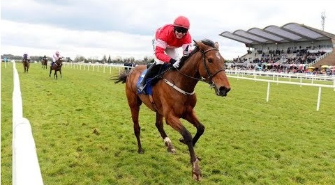 Regno Unito. Samcro vede allontanare la Champion Hurdle di Cheltenham, dove Buveur D’Air resta il favorito, crescono invece le chance della femmina imbattuta di Willie Mullins Laurina