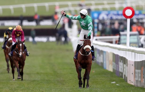 Irlanda. Presenting Percy torna nella Galmoy Hurdle di Gowran Park per preparare la Gold Cup di Cheltenham, l’allievo di Patrick Kelly è annunciato in buona condizione, in sella Davy Russell