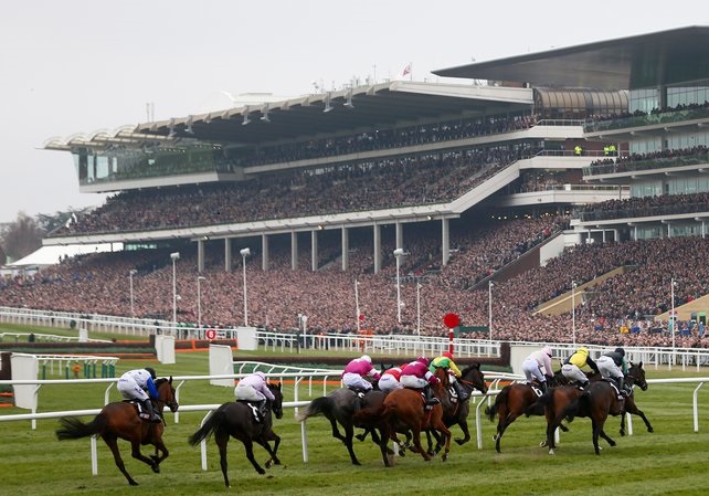 INGHILTERRA. Coronavirus: anche gli inglesi si preparano a correre senza pubblico, porte chiuse almeno fino alla conclusione del mese. Chiusi gli uffici della British Horseracing Authority, alcuni membri in autoisolamento causa virus non confermato