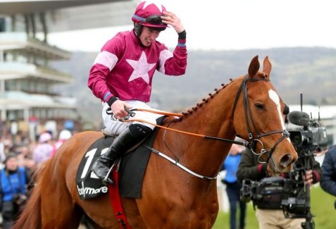 Irlanda. Samcro saluta Cheltenham, il campioncino di Giggistown correrà di nuovo in stagione dopo l’infezione polmonare post Leopardstown