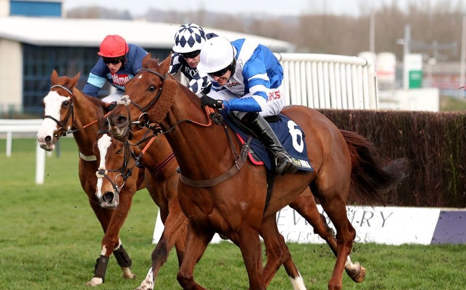 Inghilterra. Paul Nicholls, nona vittoria nella Greatwood Gold Cup Handicap Chase di Newbury grazie a San Benedeto interpretato da Nick Scholfield