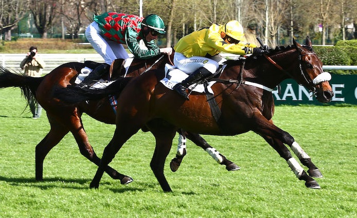 Francia. Guillaume Macaire mattatore, quattro vittorie ad Auteuil e sigilli di gruppo con Storm Of Saintly nel Prix Troytown e Feu Follet nell’Indy