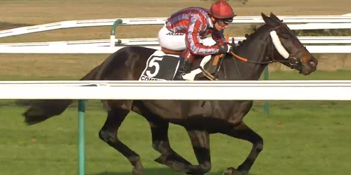 FRANCIA. Auteuil domenica, Francois Nicolle ha supplementato Figuero nel Prix Jean Doumen, per il vincitore del Maurice Gillois un rientro soft alla prima contro gli anziani sulle siepi. Ci sarà anche Davide Satalia con il suo Nurmi nel Prix Pont d’Iéna, alla prima sullo steeple parigino