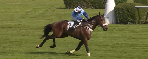 Francia. Goliath du Berlais vola nel Fleuret ad Auteuil e punta dritto al Ferdinand Dufaure. So French solo sesto nel Prix Air Landais, gara vinta dall’ottimo Spirit Sun avanti a Carriacou, en plein Pacault