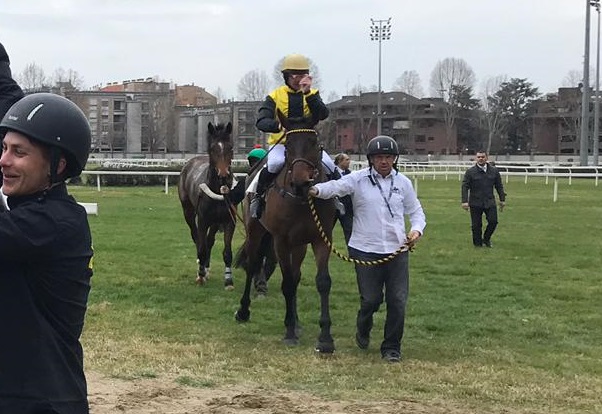 Italia. Milano, Tatti Jacopo con vista sulla Corsa Siepi per i 4 anni con i reduci del Corona Ferrea, tutti pronti ad inseguire il ceco Kapjahr. Star Maker da battere sullo steeple, Brunch Royal, Chateaudemalmaison e Moved attesi nell’handicap