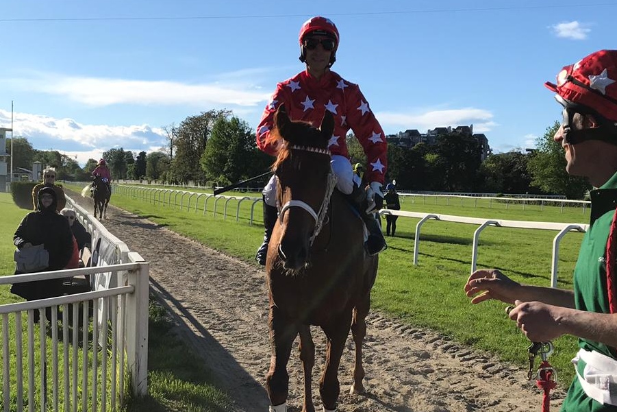 Italia. Live Your Life straripante vince la Gran Siepi di Milano, battuto il ceco Morning Star, male Champ de Bataille. Pazzesco si conferma anche nello Staffe D’Oro, Aventus in gran crescendo nel Marco Rocca