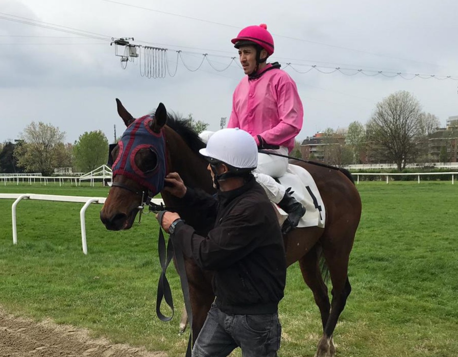 Italia. San Siro, Celeste Citterio a Mezajy ed Alessio Pollioni, l’allievo di Paolo Favero domina la condizionata e stacca il ticket per la Gran Siepi di Milano, battuti Morning Star e Live Your Life. Nando perfetto nel cross country, Noisemaker ok nel Madesimo