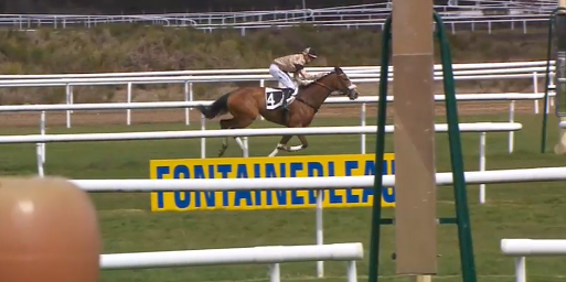 Francia. Océan Austral e Clément Lefebvre negano la quarta vittoria consecutiva all’atteso Virtus D’Estruval nel Grand Steeple Chase Cross Country de Fontainebleau