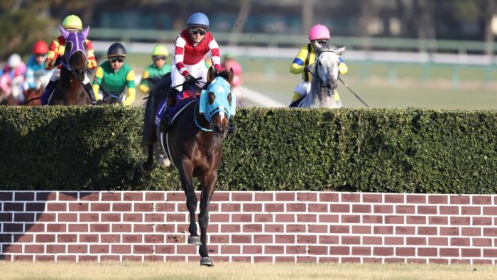 GIAPPONE. Oju Chosan vince per il quinto anno consecutivo il Nakayama Grand Jump con il sella Shinichi Ishigami, per il campionissimo figlio di Stay Gold allenato da Shichiro Wada un’altra perla della sua magistrale carriera, battuto il vincitore della Pegasus Meisho Dassai; prossimo appuntamento il Nayakama Daishogai