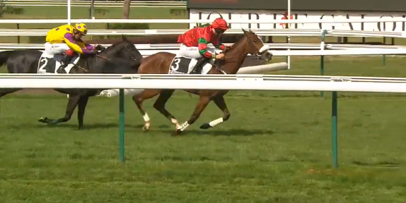 Francia. Compiégne, Royale Joana Has imita la sorella e un anno più tardi vince l’atteso Prix Hopper di gruppo tre per i chaser di quattro anni avanti a Porto Pollo e Amour du Mathan