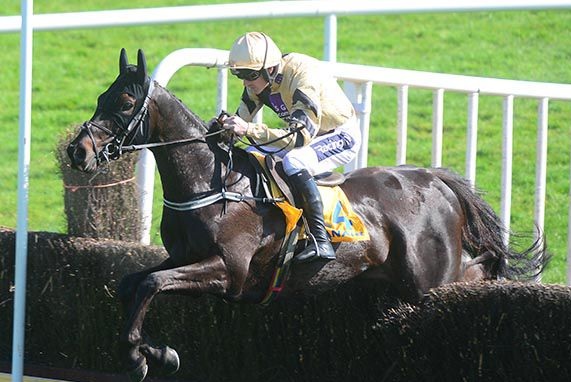 Irlanda. Fairyhouse, Voix Du Reve in splendido stile nella Ryanair Gold Cup Novice Chase, Willie Mullins en plein grazie al secondo posto dell’atteso Real Steel