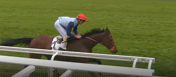 Francia. Auteuil, Blue Dragon vince il Prix du Vivarais, l’allievo di David Cottin conferma l’ottimo rientro del Jean Granel e punta al La Barka del 9 Giugno