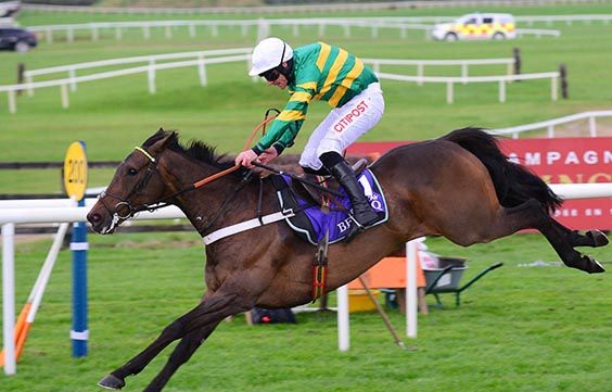 Irlanda. Buveur D’Air splendido nella Punchestown Champion Hurdle, il campione di Nicky Henderson con in sella Davy Russell batte senza patemi Supasundae e Wicklow Brave, solo quinta Apple’s Jade