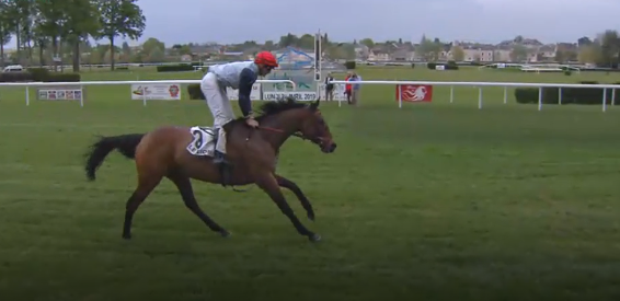 Francia. Le Lion D’Angers e Lyon Parilly, giovedì doppio appuntamento con il Prix Anjou-Loire Challenge (Grand Steeple Cross) in pista la star Kick On, il Prix Claude Gindre – Grand Steeple Chase de Lyon con il tedesco Lopesan