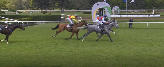 Francia. Lyon Parilly, Lopesan beffa l’atteso Raffles Sun nel Courtois, preparazione al Grand Steeple Chase de Lyon. Vieux Garcon di forza respinge il favorito Volcan D’Estruval sui 5200 metri del Camélia XII