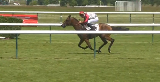 Francia. Grand Trianon domina la Grand Course de Haies de Dieppe, ancora un successo per la partnership Nicolle – Lemagnen. Davide Satalia secondo e terzo nel Prix Alcibiade