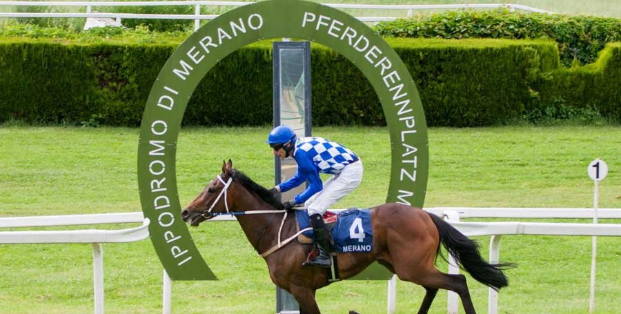 Italia. Merano apre il week end (ore 17.30) con un sabato da urlo, senza Macaire ma con tutti i big nella Gran Siepi D’Italia. Criterium di Primavera spettacolo con l’ospite franco italiano Edidindo e la novità ex Henderson Chaparral Prince