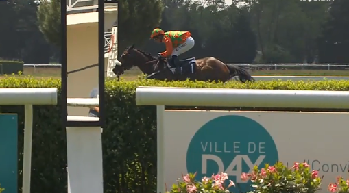 Francia. Prince Sumitas senza incertezze nel Grand Steeple Chase de Dax, all’allievo di Guillaume Macaire basta un solo allungo per precedere Menthol e il compagno di training Diamont Drop