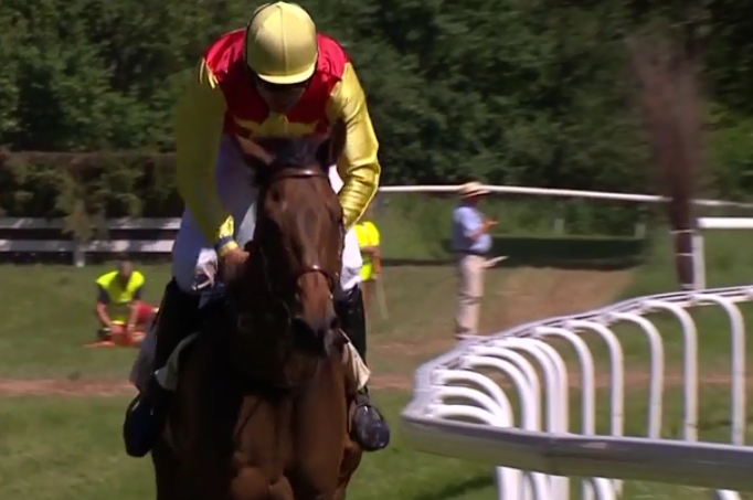 Svezia. Jan Faltejsek e Serienlohn vincono lo Swedish Grand National di Strömsholm. L’allievo di Pavel Vovcenko ha preceduto il campione in carica Truckers Glory interpretato da Christopher Robert