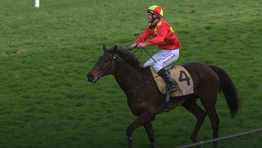 Nuova Zelanda. Gagarin e Matthew Gillies spettacolari nel Grant Plumbing Wellington Steeplechase di Trentham, secondo Kipkeino avanti a Perry Mason. No Tip ok nell’Anuka Smoker Hurdle