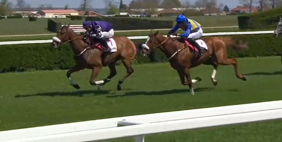 Francia. Grand Cross e Gran Steeple Chase nello splendido sabato di Dieppe, dove Macaire cerca il bis con Onsaijamais e Prince Sumitas. Nel pomeriggio della Normandia presenti anche Luigi Maceli e Davide Satalia