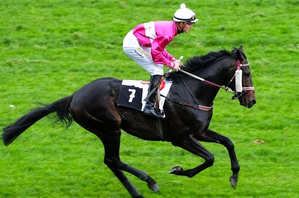 Repubblica Ceca. Sabato, Lysà nad Labem, Bugsie Malone fa il suo esordio per il team Monte Negro in un’ottima categoria uno, 4600 steeple chase, in pista anche Aeneas per Josef Vana Sr, Peintre Elusif (Jiri Charvat) Caline de Juilley e Leo Fantastico