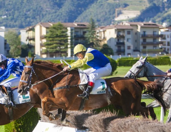 ITALIA. Merano test Gran Siepi, Aztek al rientro affronta il gravato Notti Magiche e il compagno Noble House, in pista anche Meny Bay vincitrice 2017, Dangerous Gleam e Creep Desbois. Fra i quattro anni Ostrich contro la triade Romano