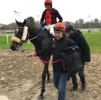 ITALIA. Merano, Ludvik Haris show, poker per il trainer ceco; Au Piede Leve (Jan Faltejsek) concede il bis nell’handicap sulle siepi in apertura di programma; Le Molleau e Jan Kratochvil si confermano sullo steeple chase