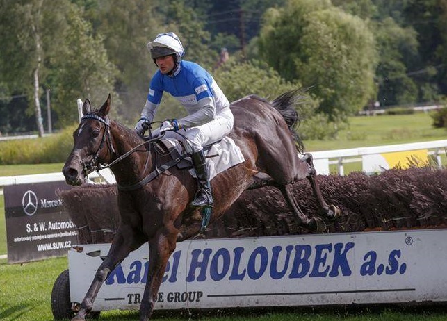 ITALIA. Merano, Meny Bay e Jaroslav Brecka vincono il trial della gran siepi battendo in un finale emozionante i compagni Noble House Notti Magiche e Aztek autore di un ottimo rientro. Dorian Tango, Raf Romano non si ferma più