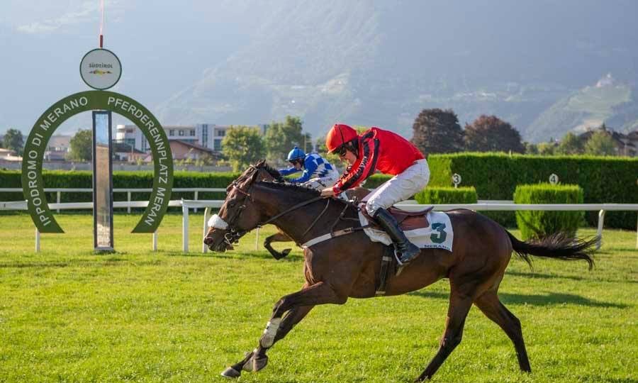 FRANCIA. Auteuil, venerdì rientra Edidindo nel Prix Mélanos, per il vincitore del Criterium di Primavera obiettivo Corsa Siepi per i 4 anni a Maia; Luigi Maceli pensa a Pessac per l’Argenton. In giornata corre fra i 4 anni l’Aichner Andoins