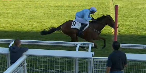 FRANCIA. Auteuil, Fujimoto Flyer strepitosa nel Prix Pelat, l’irlandese allenata da Emmet Mullins domina le coetanee battendo le attese Want of a Nail e Allez Sainte Croix. Thrilling vince fra le quattro anni, sullo steeple per i giovanissimi Fast Or Slow precede in volata Road Senam