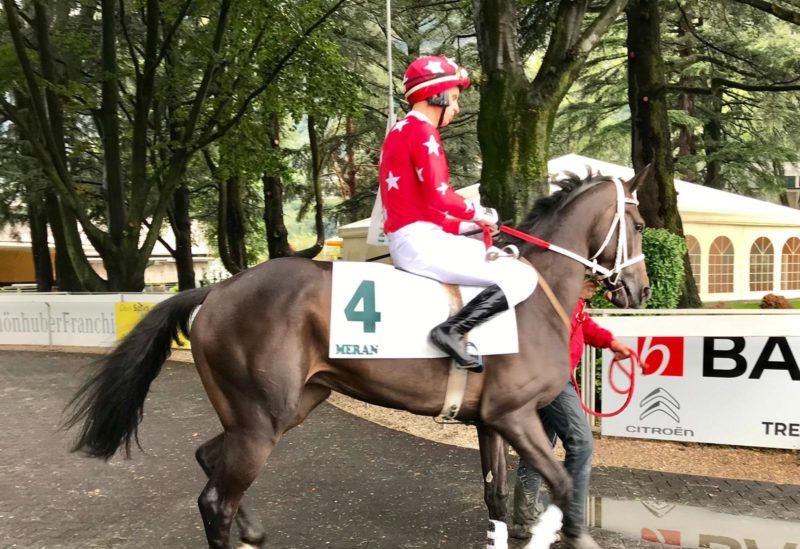 ITALIA. Merano, domenica soft in attesa della dichiarazione dei partenti di questo mercoledì per il Gran Premio Merano Alto Adige, da quest’anno in diretta alle ore 11 sul canale Unire Sat 220