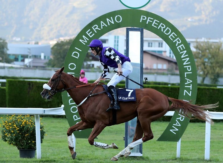 ITALIA. Gran Premio Merano spettacolo, in 14 alla partenza con la presenza del campione in carica Le Costaud, al via anche master Francois Nicolle con Viking de Balme, L’Estran e Notti Magiche i big di Aichner, Al Bustan pronto alla rivincita