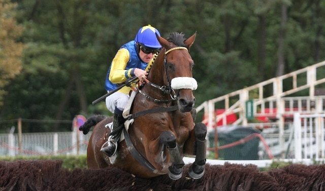 ITALIA. Merano, Ferragosto top con le classiche flat e gli ostacoli del Creme Anglaise, in pista anche i 4 anni sulle siepi del Saverio Lembo e i saltatori del cross nel Roessl Rablà