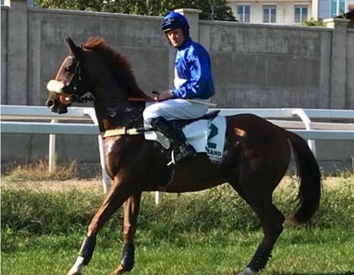 ITALIA. Pisa, si torna a saltare a San Rossore, giovedì la prima con una bella prova sullo steeple chase ed un’interessante siepi per i tre anni. In apertura si sfidano i 4 anni sugli ostacoli bassi