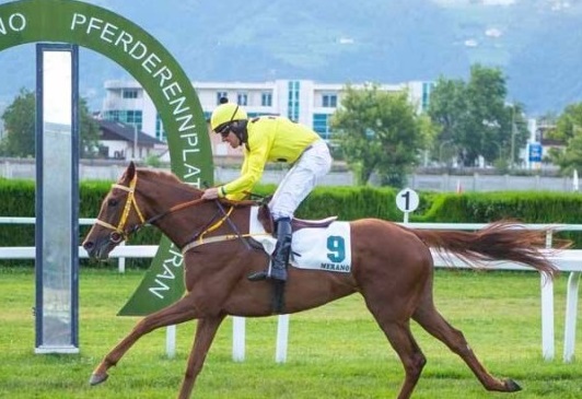 ITALIA. Gran Corsa Siepi di Merano, il francese Candalex torna in Italia per la sfida al potente Stuke e la veterana Meny Bay; Champ de Bataille e Piton des Neiges le pedine Vana