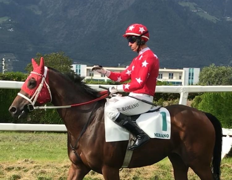 SVIZZERA. Troger, Romano e Agus obiettivo Maienfeld. Domenica il team biancorosso nella trasferta svizzera con Amaranthus impegnato nel Grosser Preis Des Cross Club,  Babalshams e Sae Cortesapertas