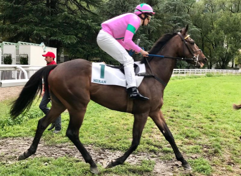 ITALIA. Merano domenica, fra i tre anni cerca l’acuto il qualitativo Atom Heart Mother, da rivedere anche Blue Mayson. Ole Caballero atteso in apertura sullo steeple, Rio Apache e Dundee Lodge altri potenziali protagonisti di giornata