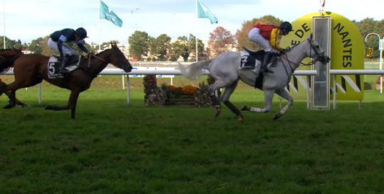 FRANCIA. Nantes, Celtior e Madmoiselle Céline Lequien conquistano il Prix Président Michel Bodiguel Grand Steeple Chase de Loire Atlantique, battuti Elan de Balme e Saint Palois