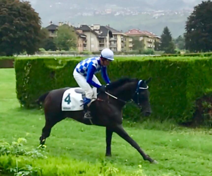 ITALIA. Merano sabato, Peppesp e Home Please attesi in handicap, Worth My Time potenziale big nella vendere per i quattro e oltre, Mentore e Lorenzo Chieregati cercano riscatto nel cross country