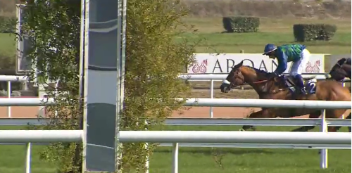 FRANCIA. Sabato a Nantes con il Prix President Michel Bodiguel Grand Steeple-Chase de Loire-Atla, in pista il veterano Saint Palois vs Beau Nora, Elan de Balme, Paris Do Brasil e Titi Loup