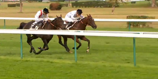 FRANCIA. Prix de la Gascogne, uno due Francois Nicolle. Nel test di preparazione al Grand Steeple Chase de Compiègne, The Stomp batte la compagna di colori A Mi Manera