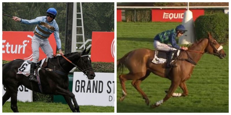 FRANCIA. Auteuil e il grande spettacolo degli ostacoli, sabato Grand Prix D’Automne con Galop Marin in difesa del titolo, domenica La Haye Jousselin con Carriacou vincitore del Grand Steeple Chase de Paris e il grigio Bipolaire