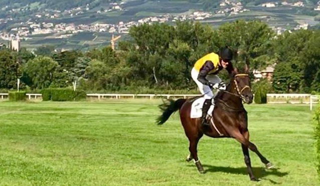 ITALIA. Treviso, apre la stagione al Sant’Artemio. Chicago tenta lo steeple contro Schwarzwald e Creep Desbois, King Kong favorito fra i 4 anni, nel cross posto in apertura di programma, rientra Opaleo contro Mentore, Vanessa de Cardo e Lost Monarck