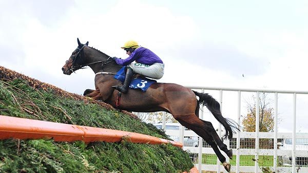 IRLANDA. Naas, Cilaos Emery ottima impressione per l’allievo di Willie Mullins nella Poplar Square Chase di gruppo due, battuto il vincitore della Maghull di primo grado Ornua