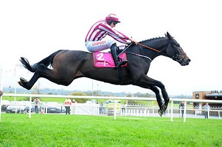 IRLANDA. Down Royal, Coeur Sublime domina la Wkd Hurdle battendo il compagno di allenamento Coko Beach. Rientro ad Hoc anche per il campioncino di Giggistown Samcro